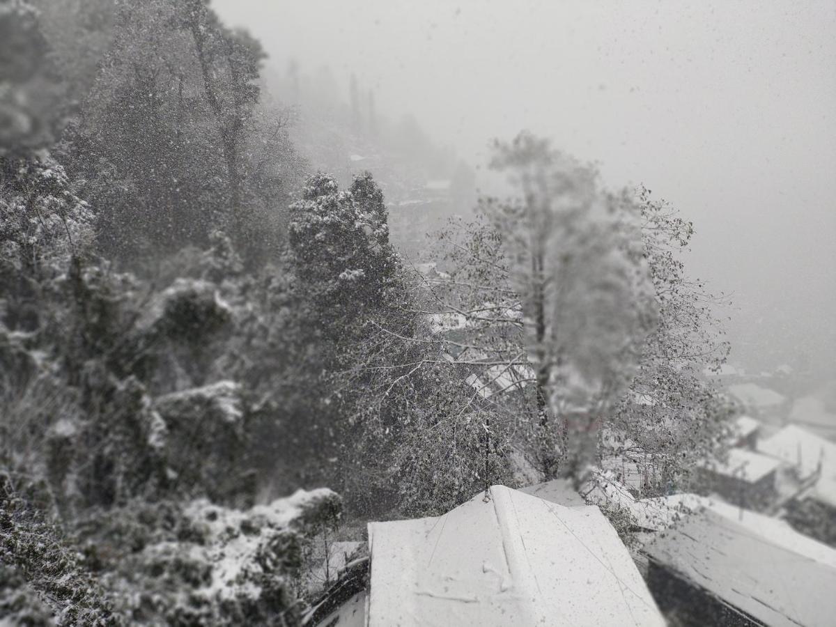 Fraternity Homestay Darjeeling (West Bengal)